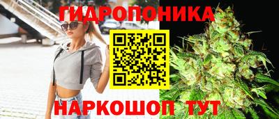 эйфоретик Канаш